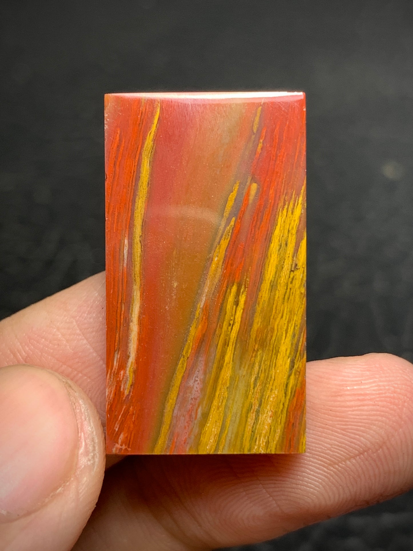 Petrified Palm Wood Cabochon 28x16x4mm