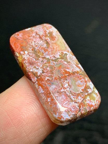 Moss Agate Cabochon 24x11x3mm