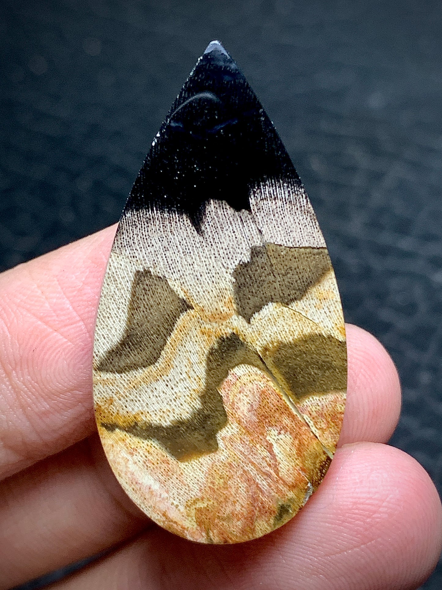 Petrified Wood Cabochon 37.5x19.3x6mm