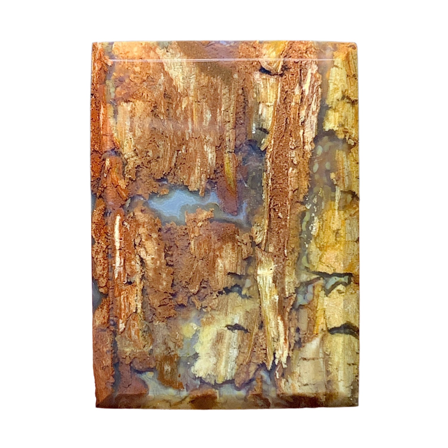 A rectangular cabochon of Petrified Wood with brown color, held between fingers against a black background.