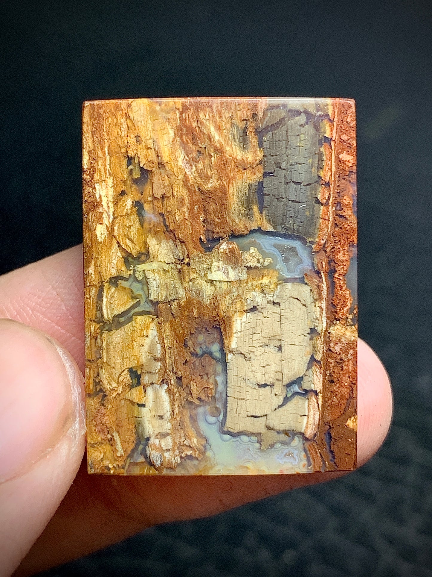 Petrified Wood Cabochon 27.5x20x4.5mm