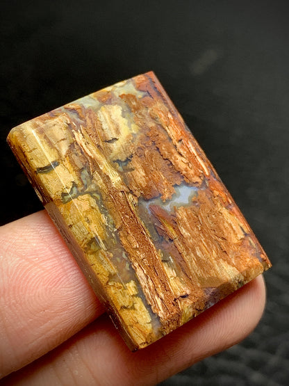 Petrified Wood Cabochon 27.5x20x4.5mm