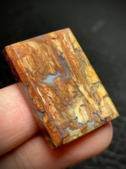 Petrified Wood Cabochon 27.5x20x4.5mm
