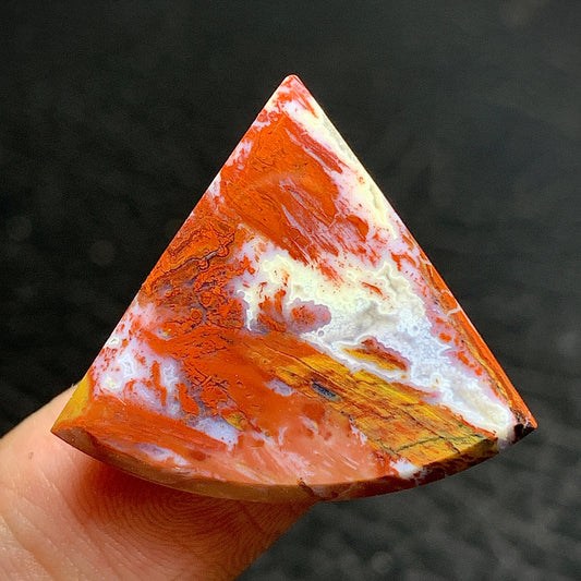 Petrified Palm Wood Cabochon 27x18x5mm