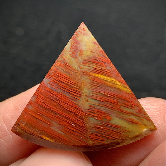Petrified Palm Wood Cabochon 25x21.3x3.9mm