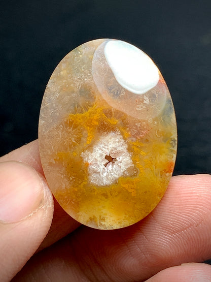 Agatized Coral Fossil Cabochon 28x20.5x5mm