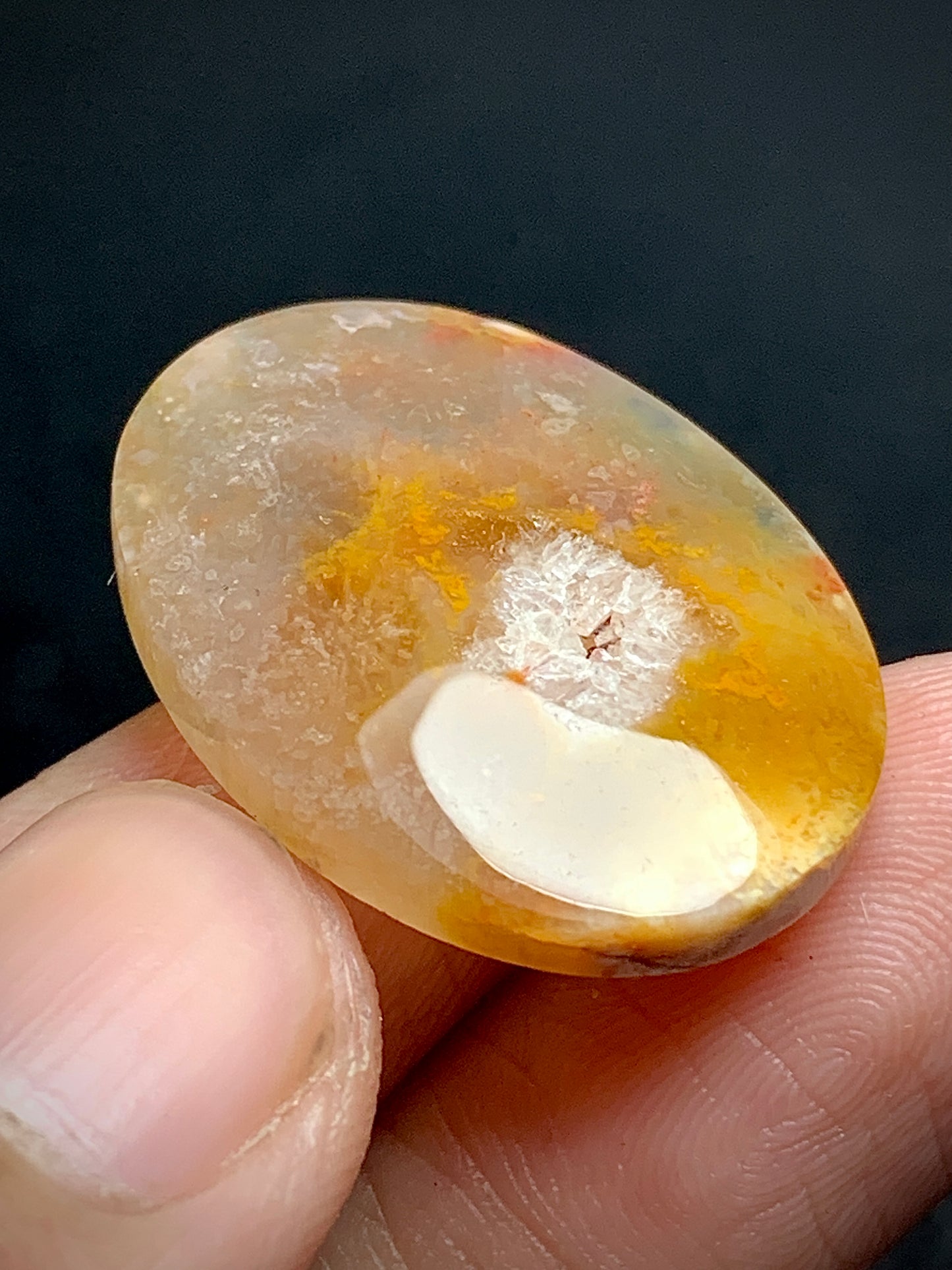 Agatized Coral Fossil Cabochon 28x20.5x5mm