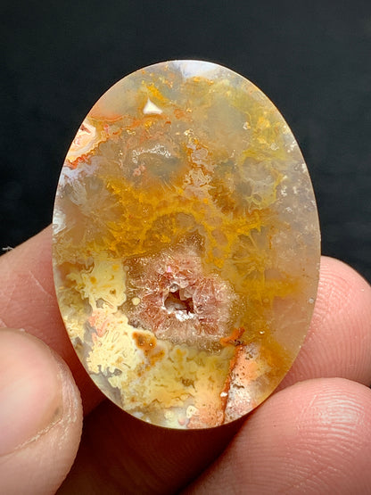 Agatized Coral Fossil Cabochon 28x20.5x5mm