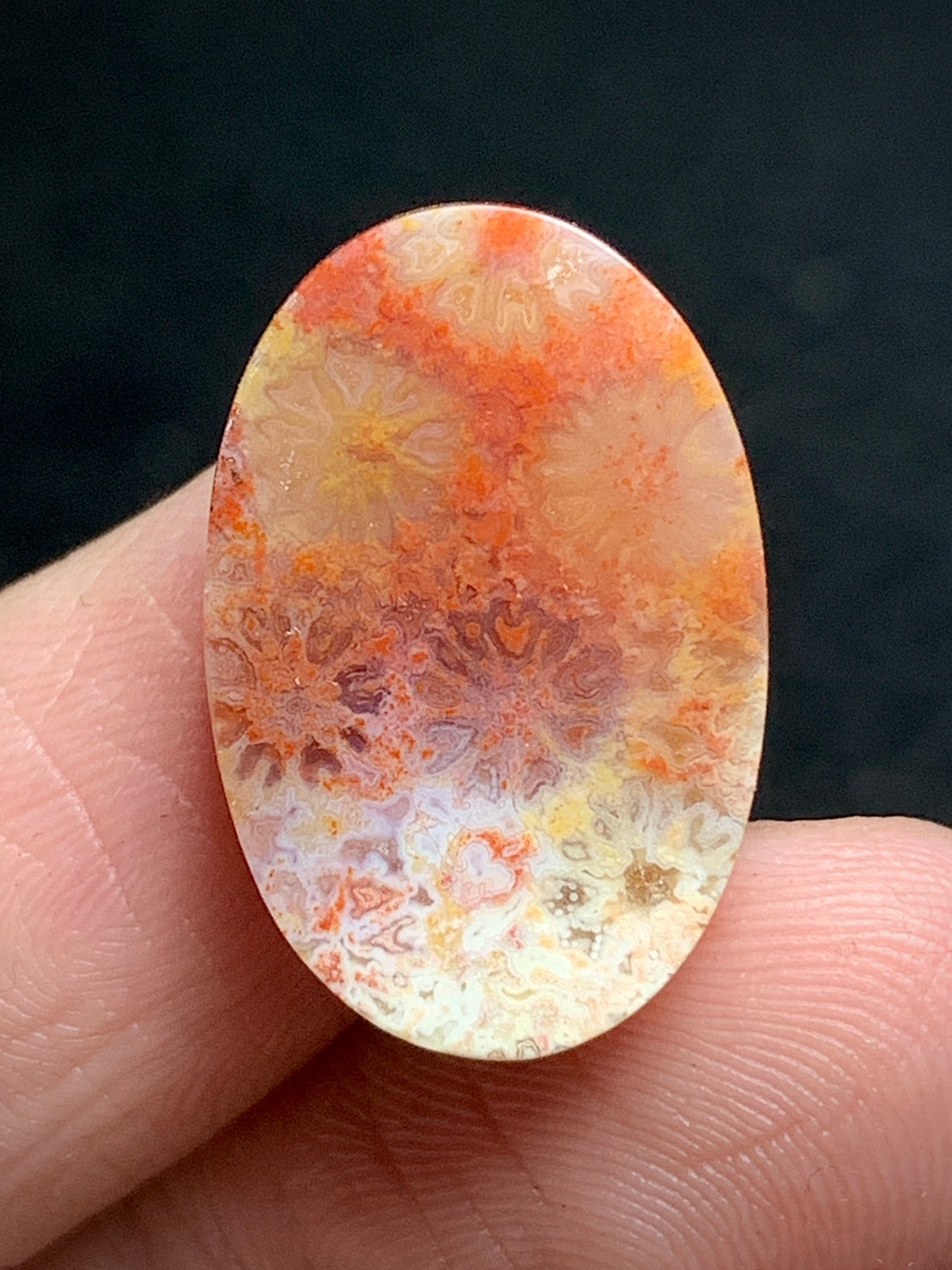 Tiny Agatized Coral Fossil Cabochon 20x18.3x5.7mm