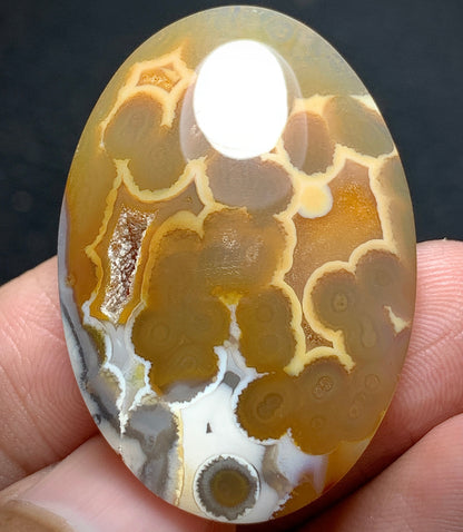 Orbicular Agate Cabochon 35x25x6mm