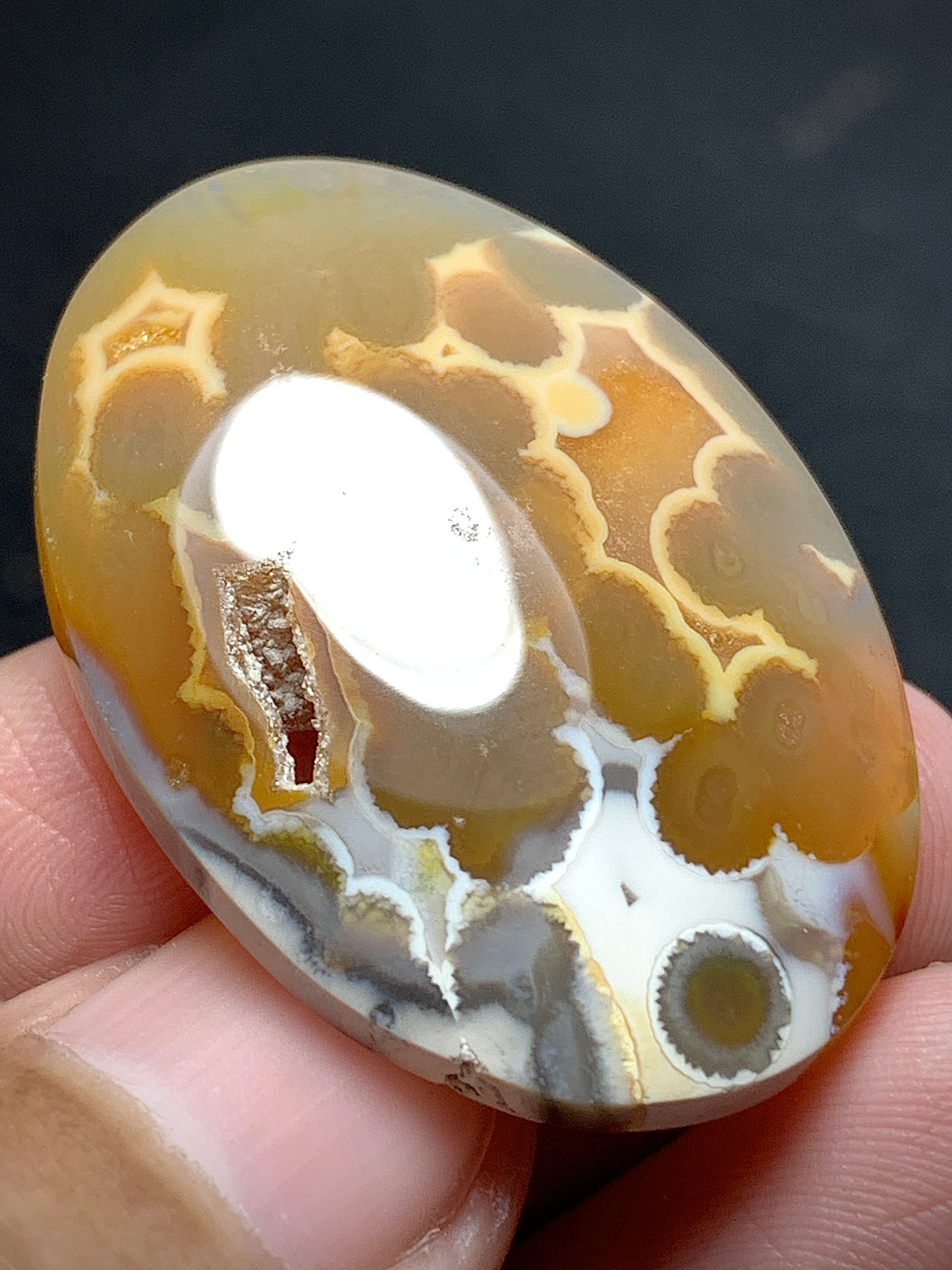 Orbicular Agate Cabochon 35x25x6mm