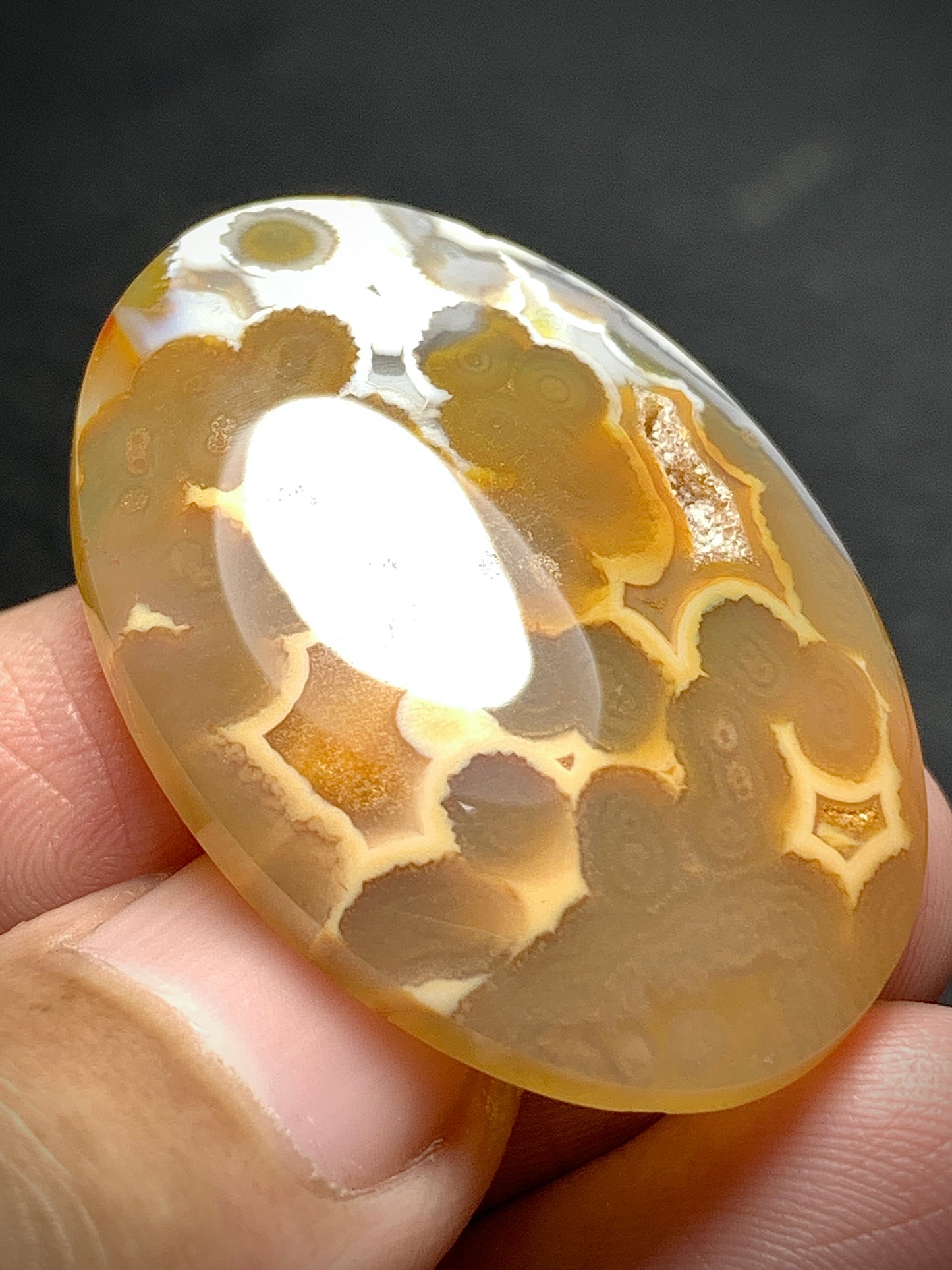 Orbicular Agate Cabochon 35x25x6mm