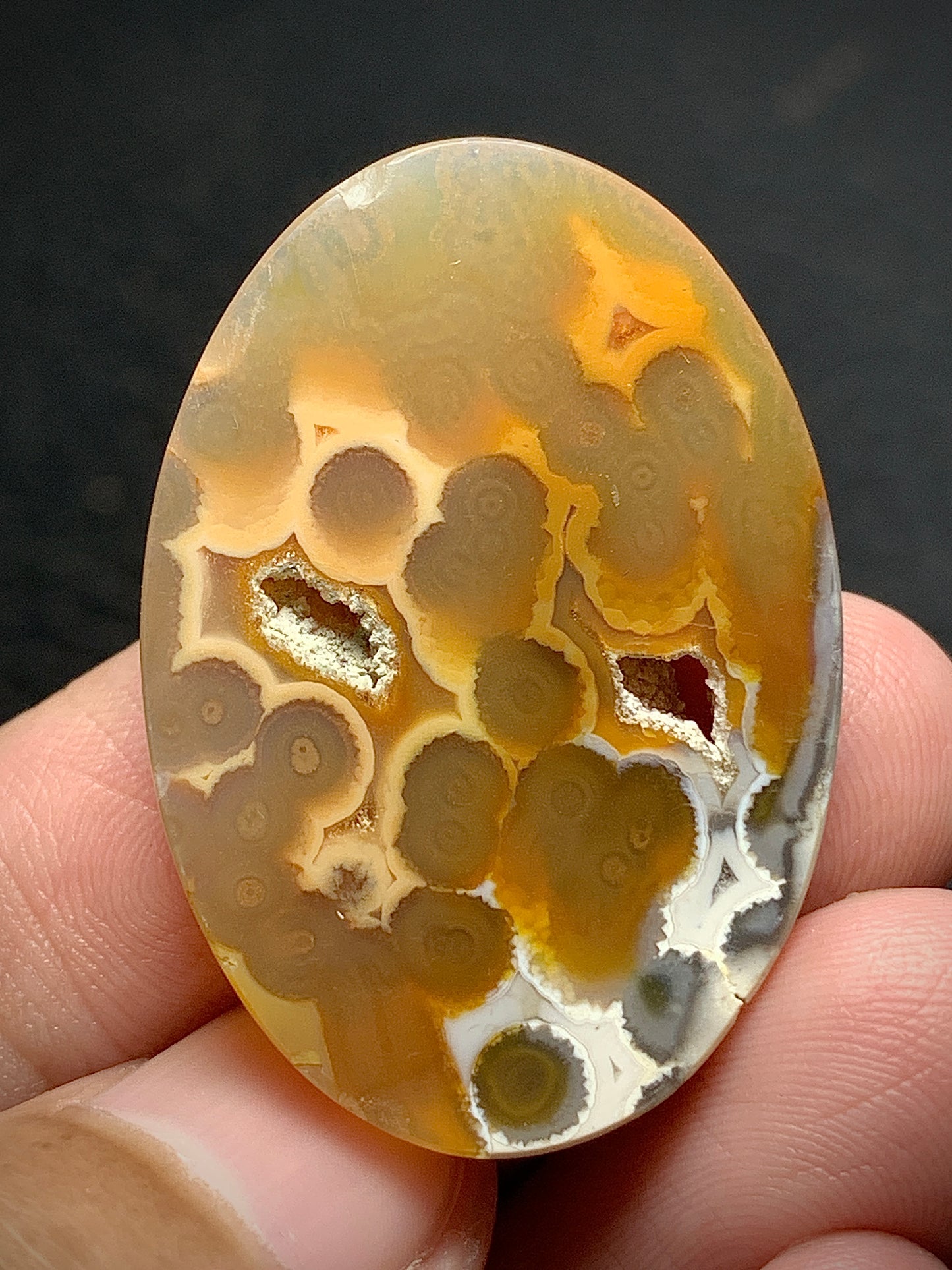 Orbicular Agate Cabochon 35x25x6mm