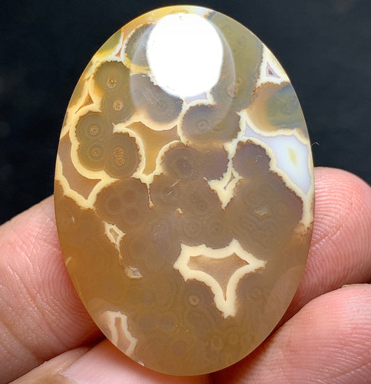 Orbicular Agate Cabochon 34x24x5.3mm