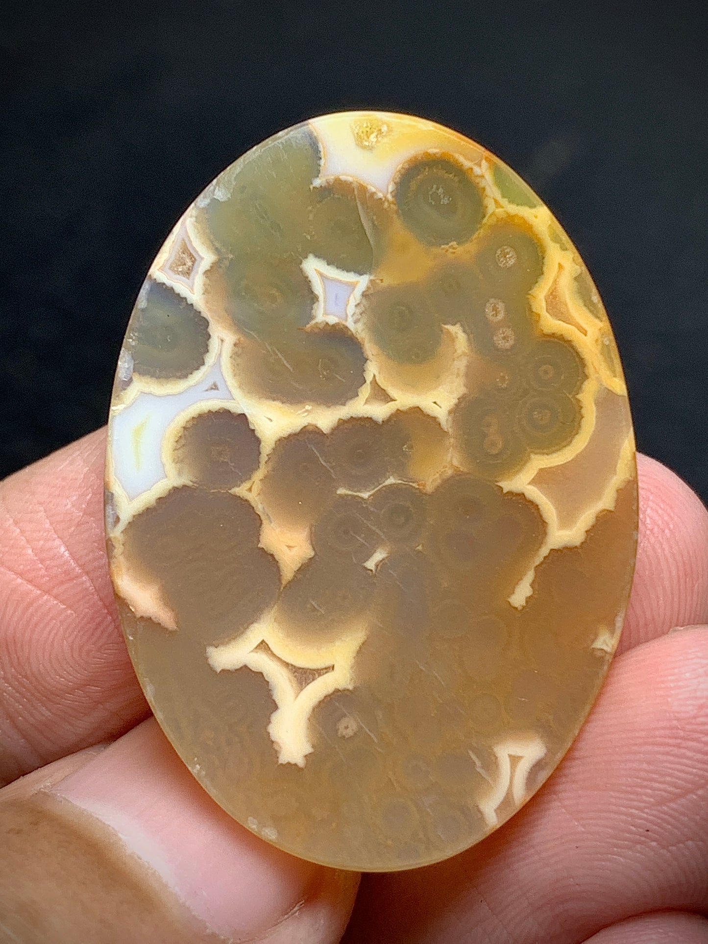 Orbicular Agate Cabochon 34x24x5.3mm
