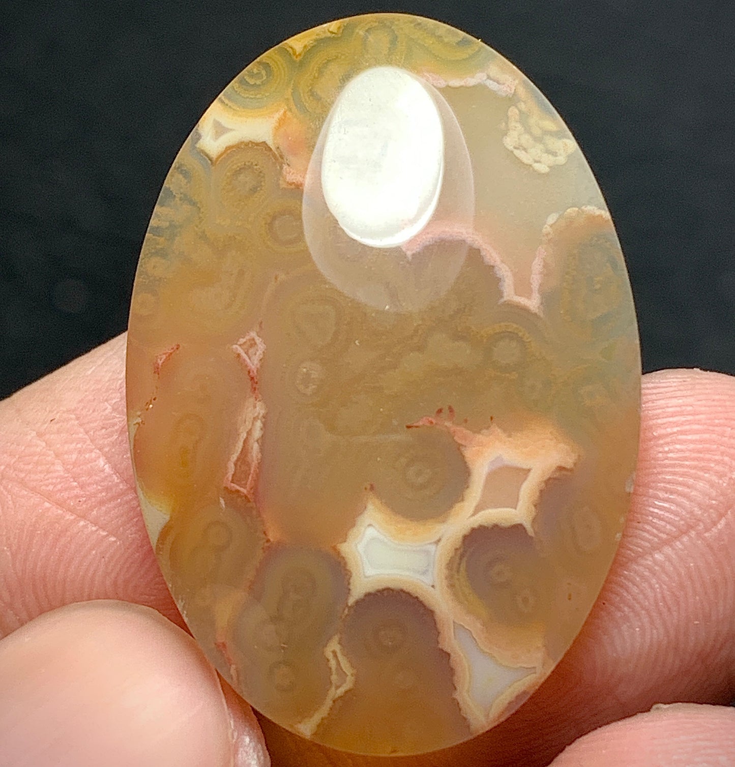 Orbicular Agate Cabochon 29.5x20x5.8mm