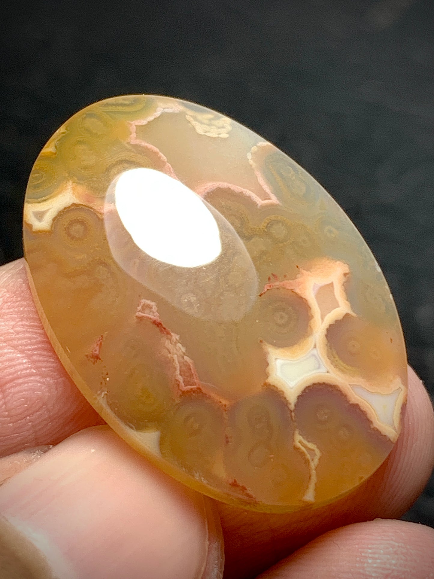Orbicular Agate Cabochon 29.5x20x5.8mm