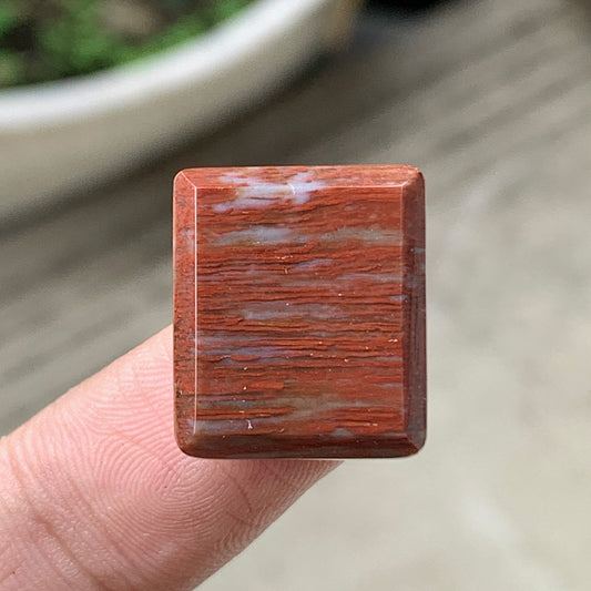 Tiny Petrified Palm Wood Cabochon 17.5x15x4.5mm
