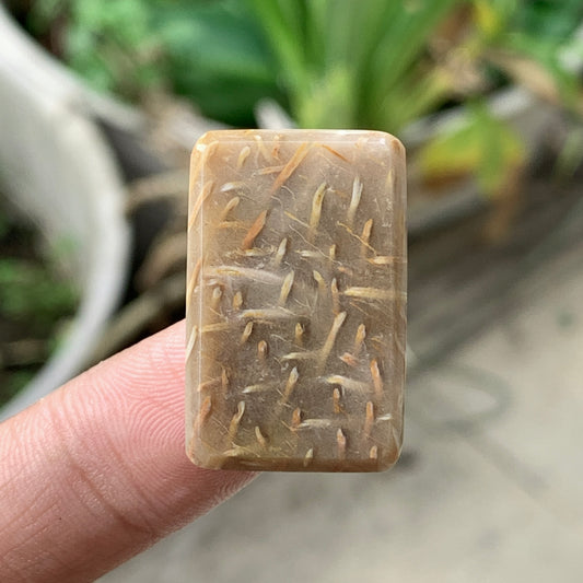 Petrified Palm Wood Cabochon 26x17x6mm
