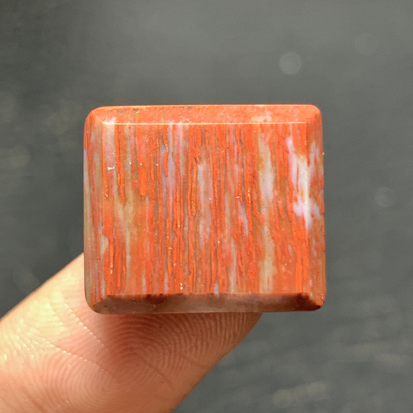 Tiny Petrified Palm Wood Cabochon 17.5x15x4.5mm