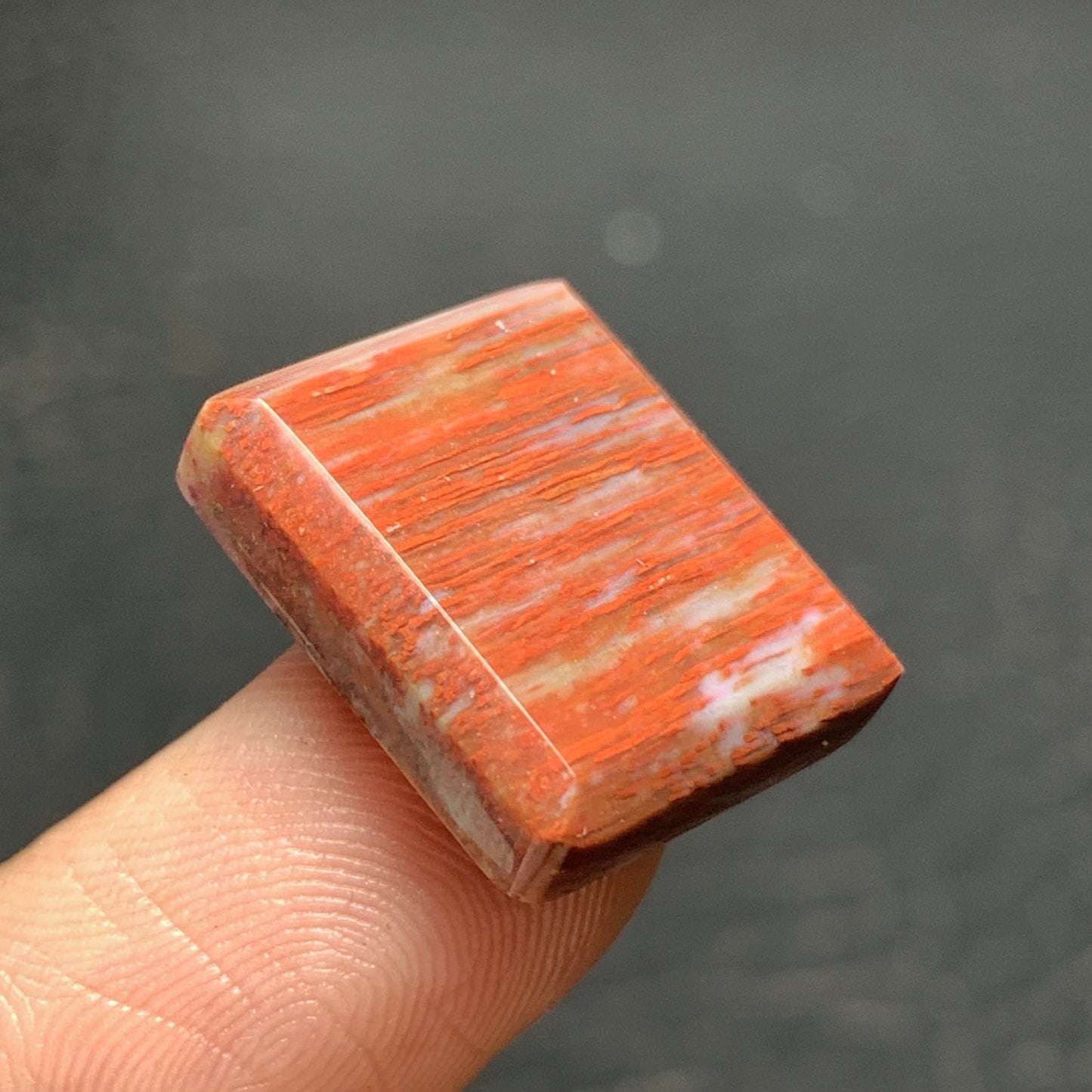 Tiny Petrified Palm Wood Cabochon 17.5x15x4.5mm