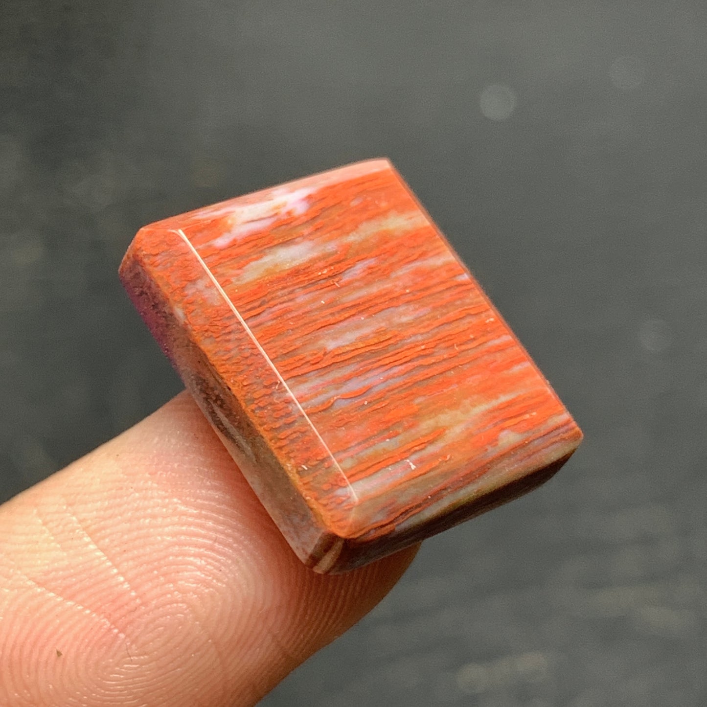 Tiny Petrified Palm Wood Cabochon 17.5x15x4.5mm