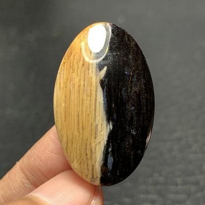 Petrified Palm Wood Cabochon 33x20x6.5mm