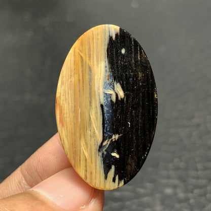 Petrified Palm Wood Cabochon 33x20x6.5mm