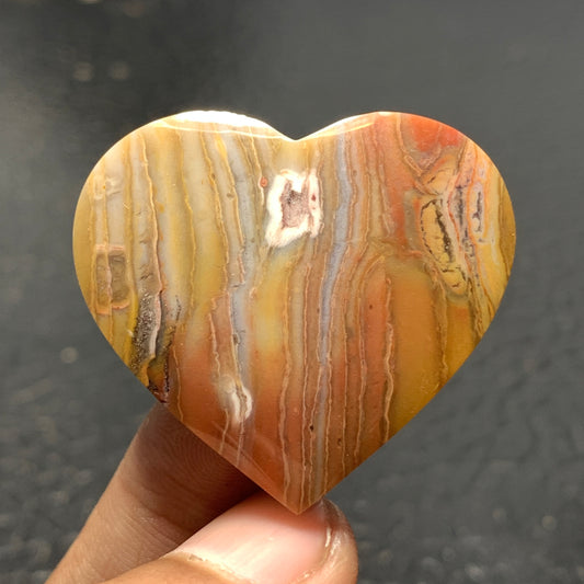 Petrified Wood Cabochon 36x33x5.9mm