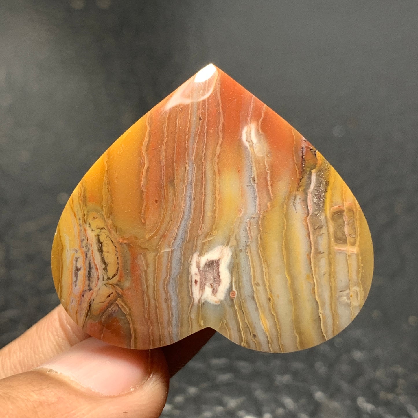 Petrified Wood Cabochon 36x33x5.9mm