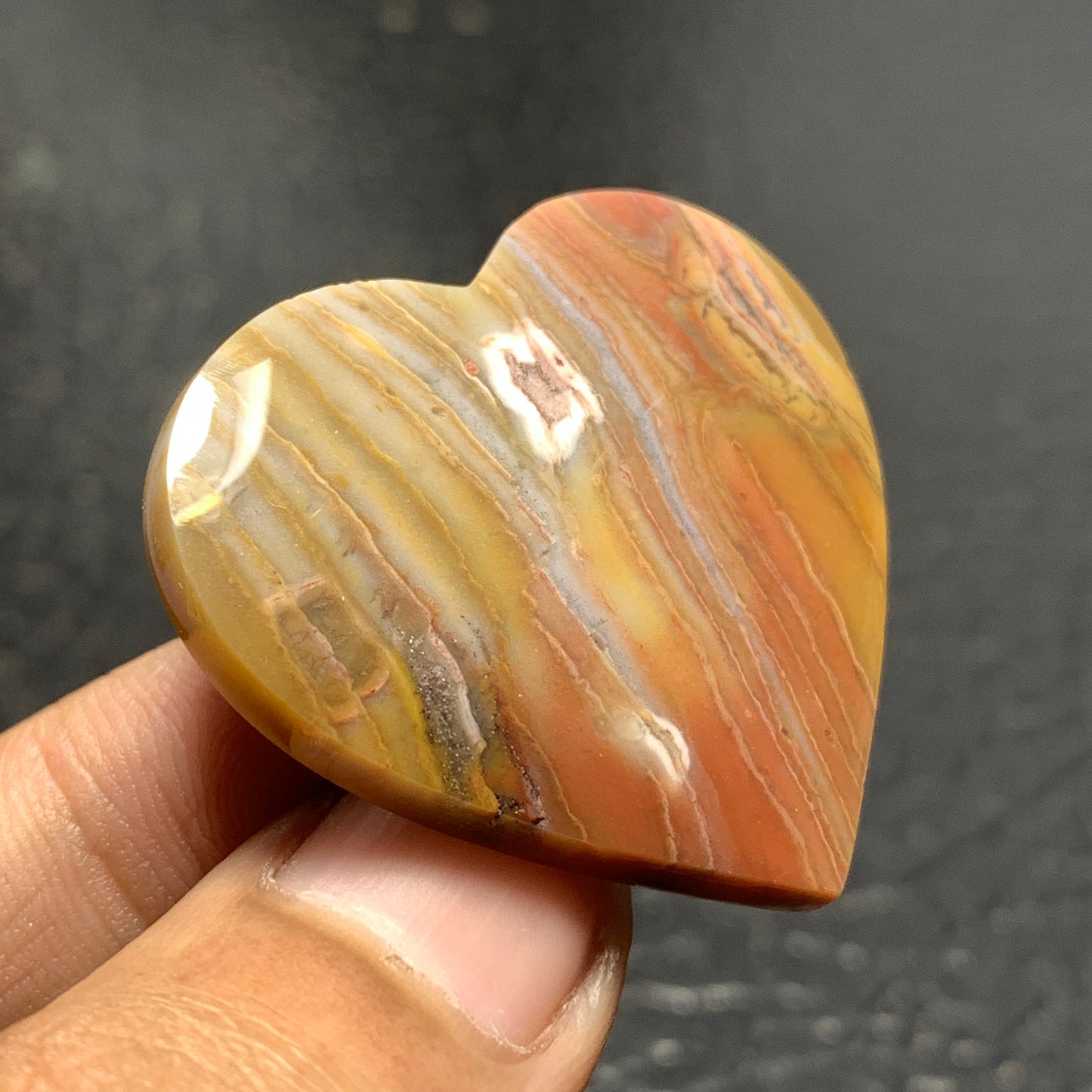 Petrified Wood Cabochon 36x33x5.9mm
