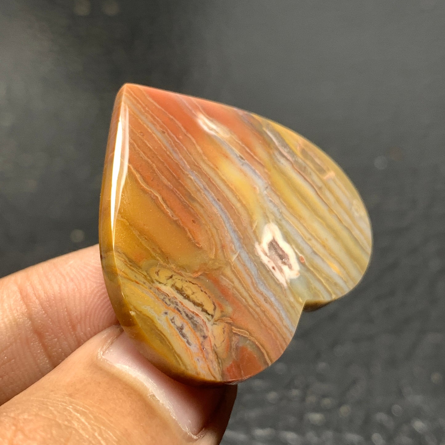 Petrified Wood Cabochon 36x33x5.9mm