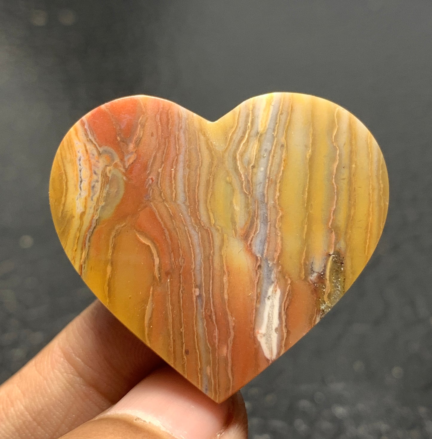 Petrified Wood Cabochon 36x33x5.9mm