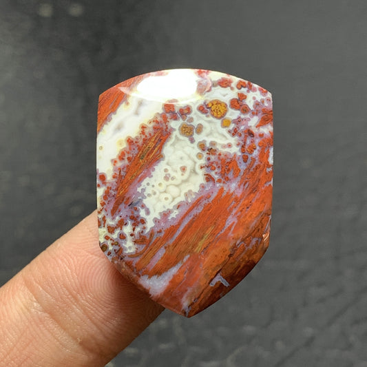 Petrified Palm Wood Cabochon 28x20x6mm