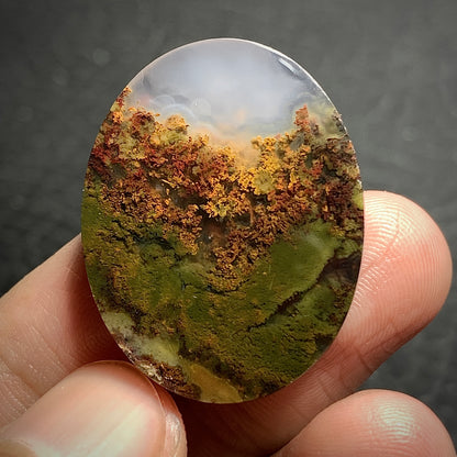 Scenic Moss Agate Cabochon 30x24x7mm