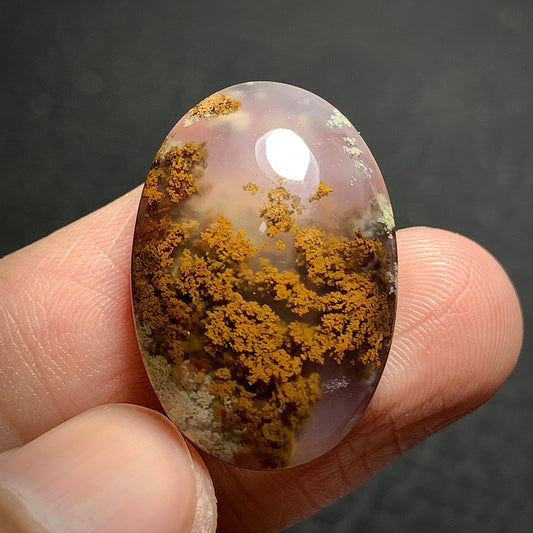 Scenic Moss Agate Cabochon 26x18x7mm