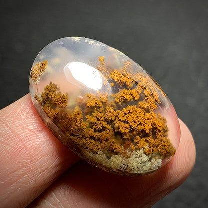 Scenic Moss Agate Cabochon 26x18x7mm