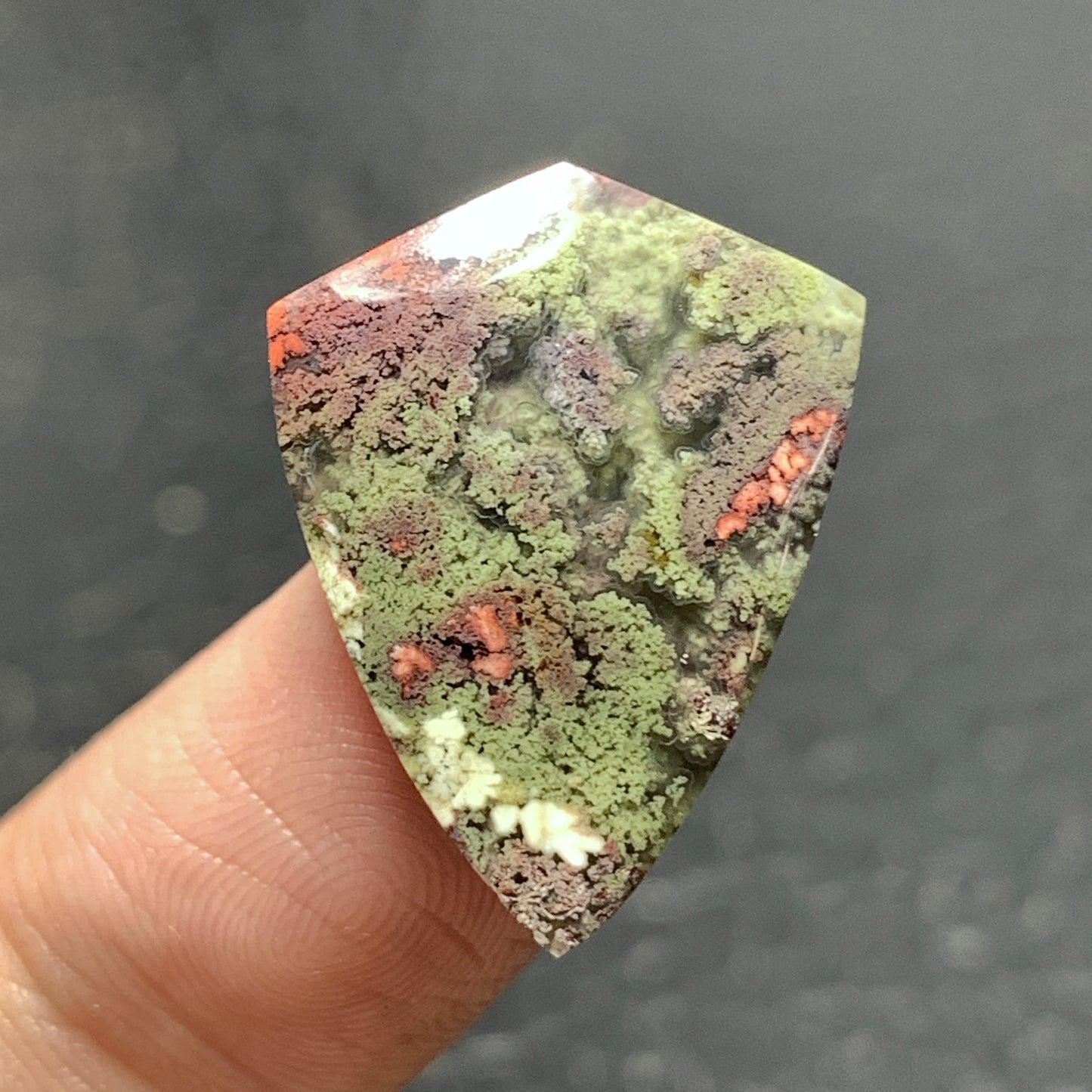 Scenic Moss Agate Cabochon 22.5x17x5mm High Quality 12 ct