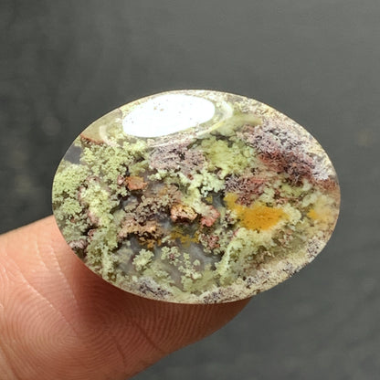 Scenic Moss Agate Cabochon 21x16x5mm High Quality 12 ct