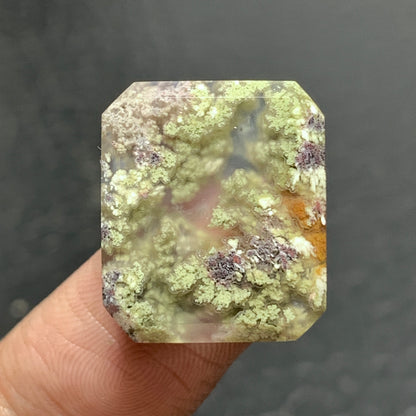 Scenic Moss Agate Cabochon 19x16x4.5mm High Quality 15 ct