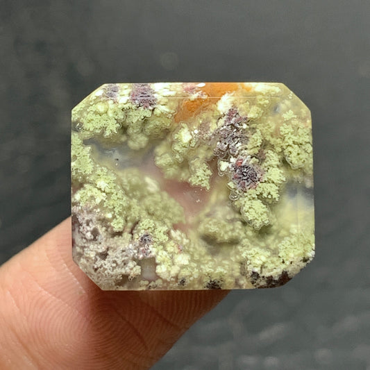 Scenic Moss Agate Cabochon 19x16x4.5mm High Quality 15 ct