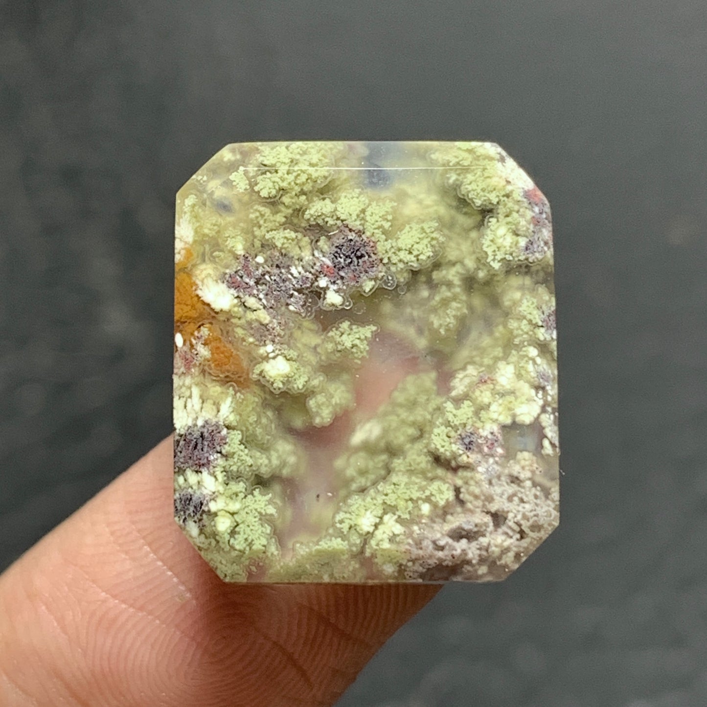 Scenic Moss Agate Cabochon 19x16x4.5mm High Quality 15 ct