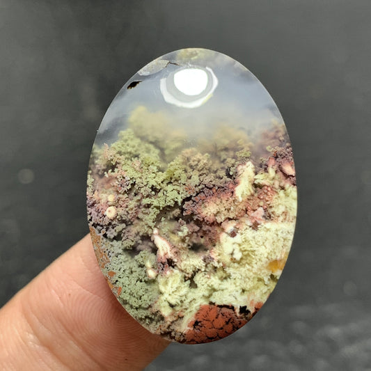 Scenic Moss Agate Cabochon 29x20x6mm High Quality 26 ct