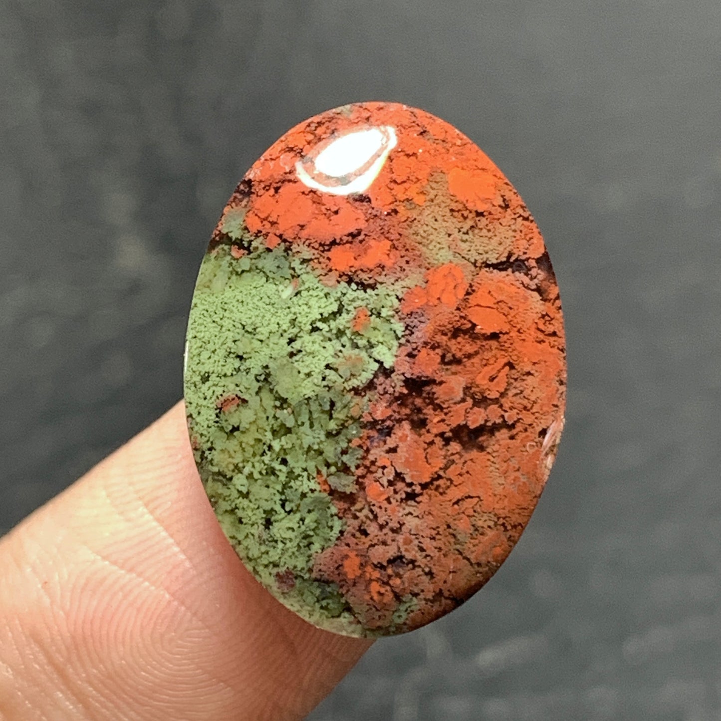Bi-color Moss Agate Cabochon 22x16x5mm High Quality 13.5 ct