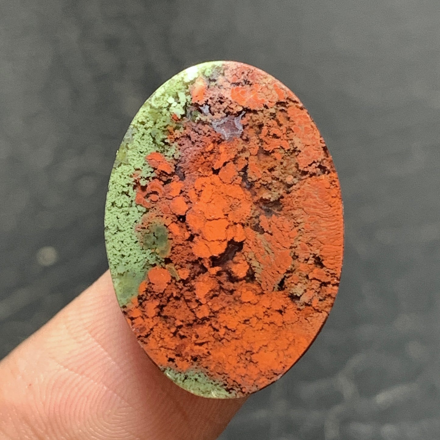 Bi-color Moss Agate Cabochon 22x16x5mm High Quality 13.5 ct