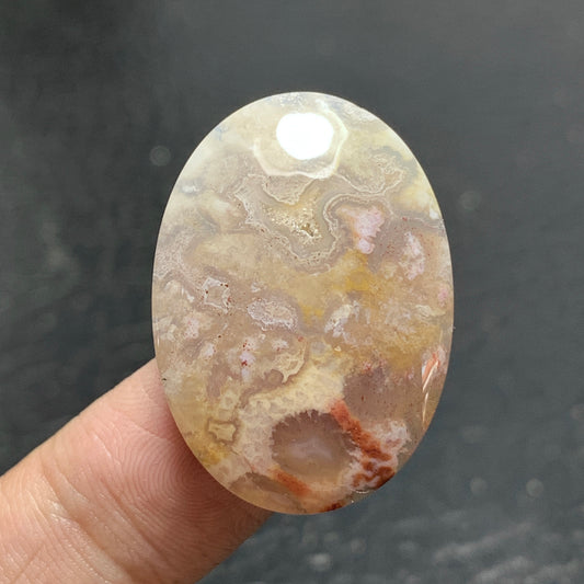 Agatized Coral Fossil Cabochon 29.5x21x6.3mm
