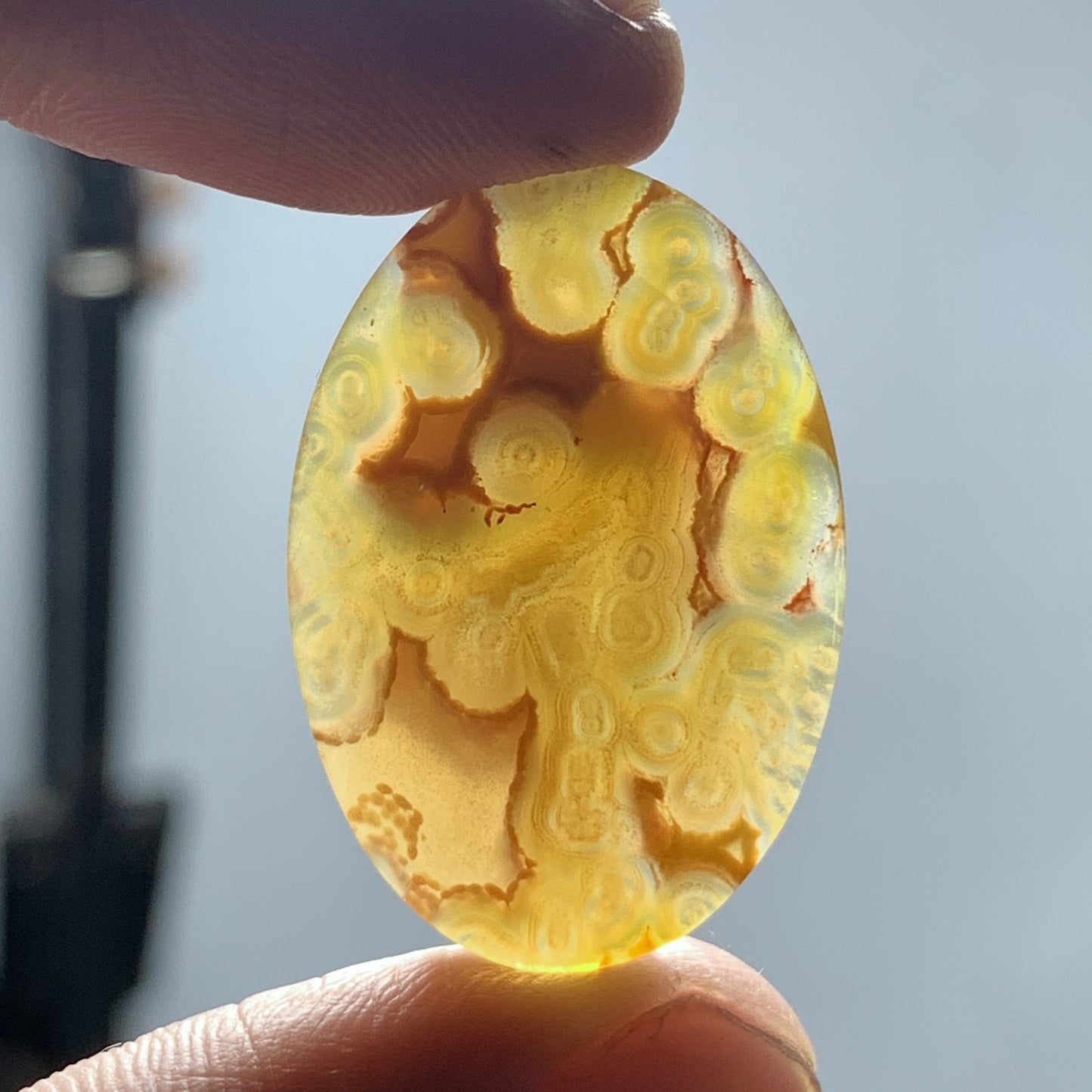 Orbicular Agate Cabochon 29.5x20x5.8mm