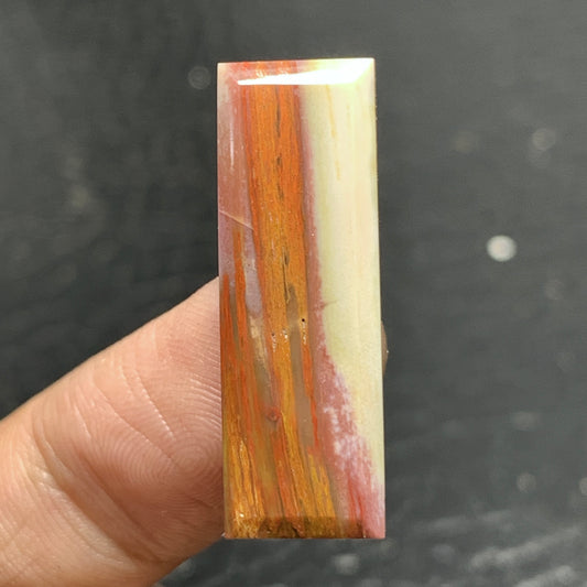 Petrified Palm Wood Cabochon 29.4x10x3.8mm