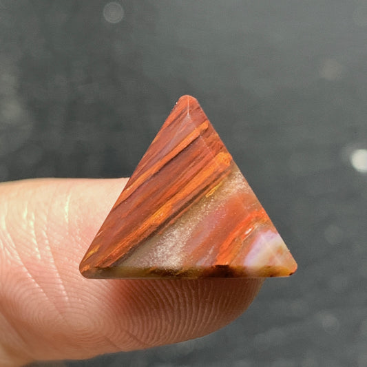 Tiny Petrified Palm Wood Cabochon 14.5x13x3mm