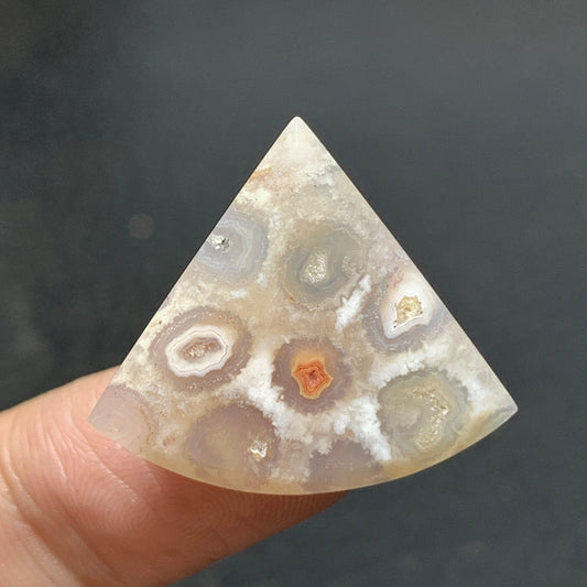 Agatized Coral Fossil Cabochon 25x22.1x4.8mm